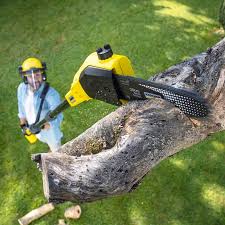 Best Lawn Pest Prevention  in Twin City, GA