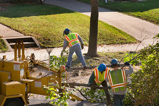 Best Lawn Drainage Solutions  in Twin City, GA